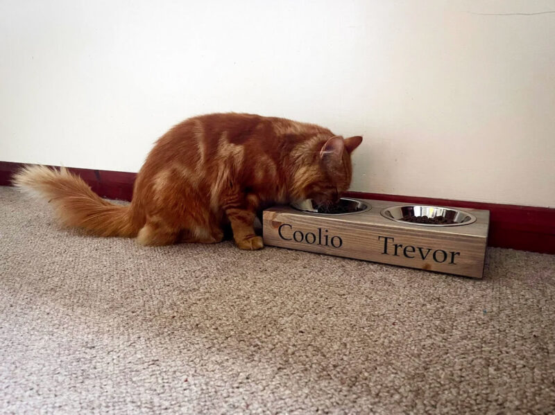 Our Little Red Barn | Personalised Cat/Small Dog Bowl Feeder