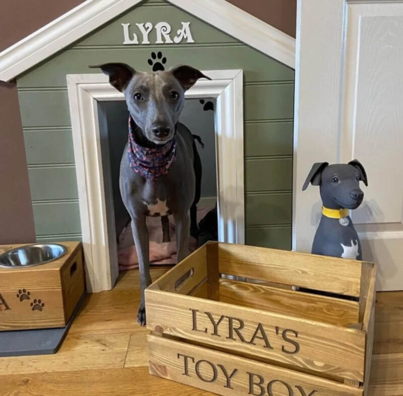 Our Little Red Barn | Personalised Pine Dog Toy Box