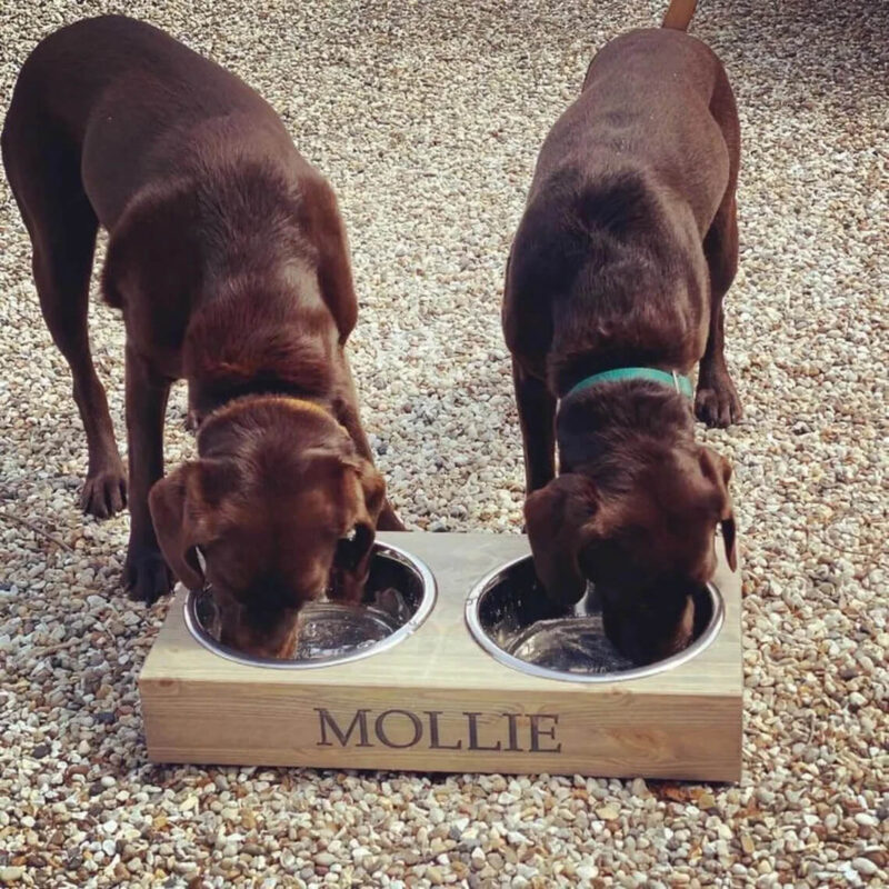 Our Little Red Barn | XL Personalised Dog Bowl Feeder