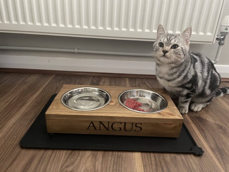 Personalised Cat/Small Dog Bowl Feeder - Image 6