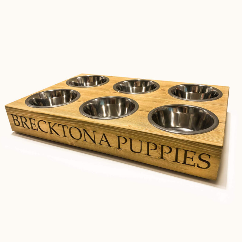 Personalised Puppy Feeding Station - Image 3