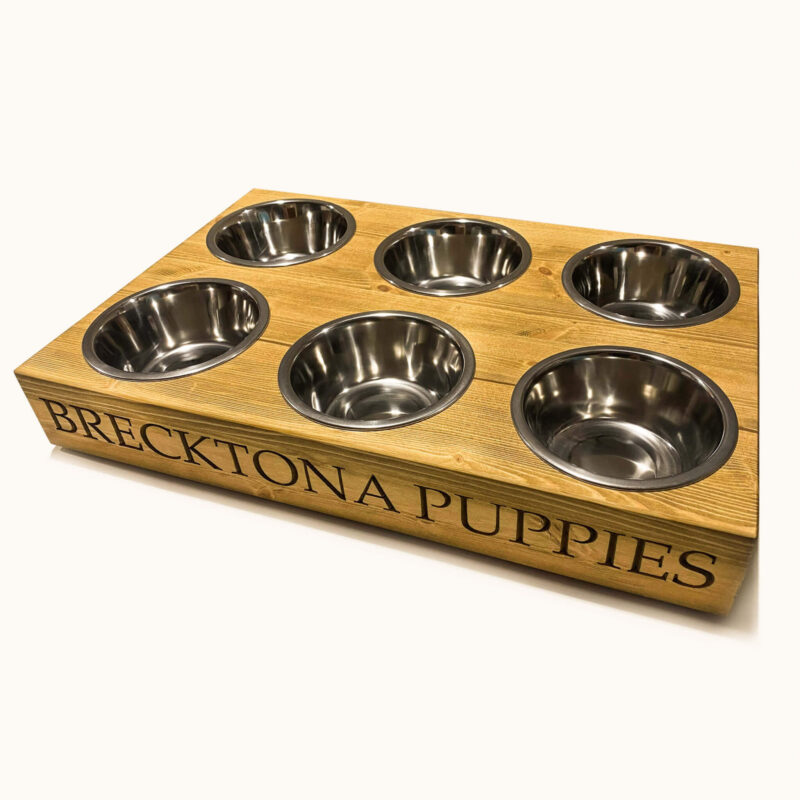 Personalised Puppy Feeding Station - Image 4